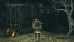 DARK SOULS™ II_ Scholar of the First Sin_20170704010638.png