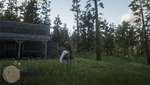 Red Dead Redemption 2_20210201024808.png