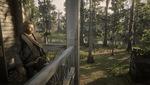 Red Dead Redemption 2_20210207034206.png