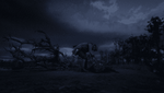 Red Dead Redemption 2_20210210002046.png