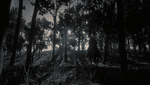 Red Dead Redemption 2_20210214023459.png