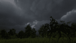Red Dead Redemption 2_20210214024438.png
