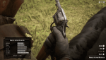 Red Dead Redemption 2_20210215035023.png