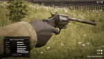 Red Dead Redemption 2_20210215035032.png