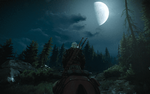 The Witcher 3 Screenshot 2020.01.01 - 02.53.16.59.png