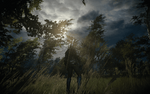 witcher3 2018-02-08 23-21-25-43.png