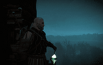 witcher3 2018-05-29 01-33-19-47.png