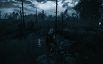 witcher3 2018-09-29 04-45-33-42.png