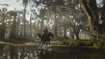 Red Dead Redemption 2_20210223013446.png