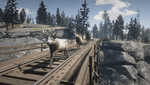 Red Dead Redemption 2_20210225023208.png