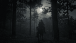 Red Dead Redemption 2_20210225030133.png