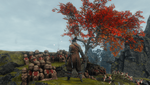 Sekiro™_ Shadows Die Twice_20210306015608.png