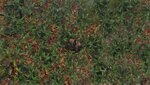 Sekiro™_ Shadows Die Twice_20210306014017.jpg