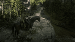 Red Dead Redemption 2_20210304020958.png