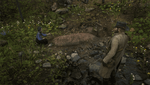 Red Dead Redemption 2_20210304032558.png