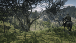 Red Dead Redemption 2_20210304035843.png