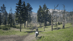 Red Dead Redemption 2_20210305002959.png