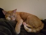 20201013_183413.jpg