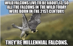 1618944074537.png