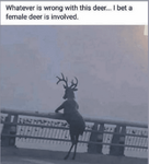1622119963080.png