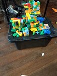 IMAG0210.jpg