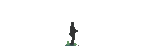 137_fly_fishing_animated.gif