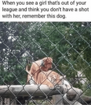 1628102737900.png
