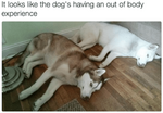 1628513393989.png