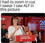 1630424231245.png