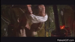 warm.gif