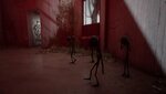 ezgif.com-gif-maker-83.jpg