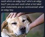 ezgif.com-gif-maker-84.jpg