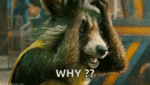 tenor (1).gif