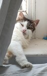 IMG20210723203618~2.jpg