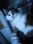 IMG20210107222235.jpg