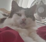 IMG_20220108_151558.jpg