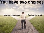 ezgif.com-gif-maker-120.jpg ezgif.com-gif-maker-120.jpg