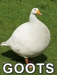 ezgif.com-gif-maker-122.jpg