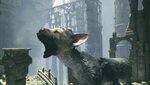 The Last Guardian™_20220204132625.jpg
