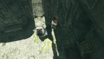 The Last Guardian™_20220204133116.jpg