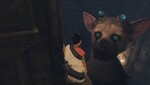 The Last Guardian™_20220204134423.jpg