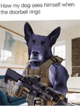 1646410750062.png