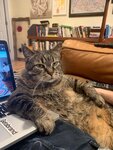 ezgif.com-gif-maker-165.jpg