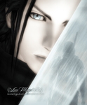 what_should_an_angel_fight_for_by_lacewingedsaby_d48np41(1).png
