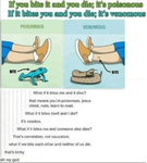 1653497541385.png