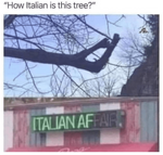 1655244323768.png