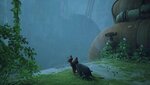 ezgif.com-gif-maker-204.jpg
