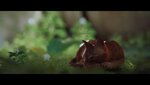 ezgif.com-gif-maker-207.jpg