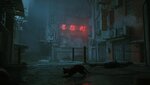 ezgif.com-gif-maker-209.jpg