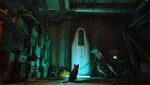 ezgif.com-gif-maker-211.jpg